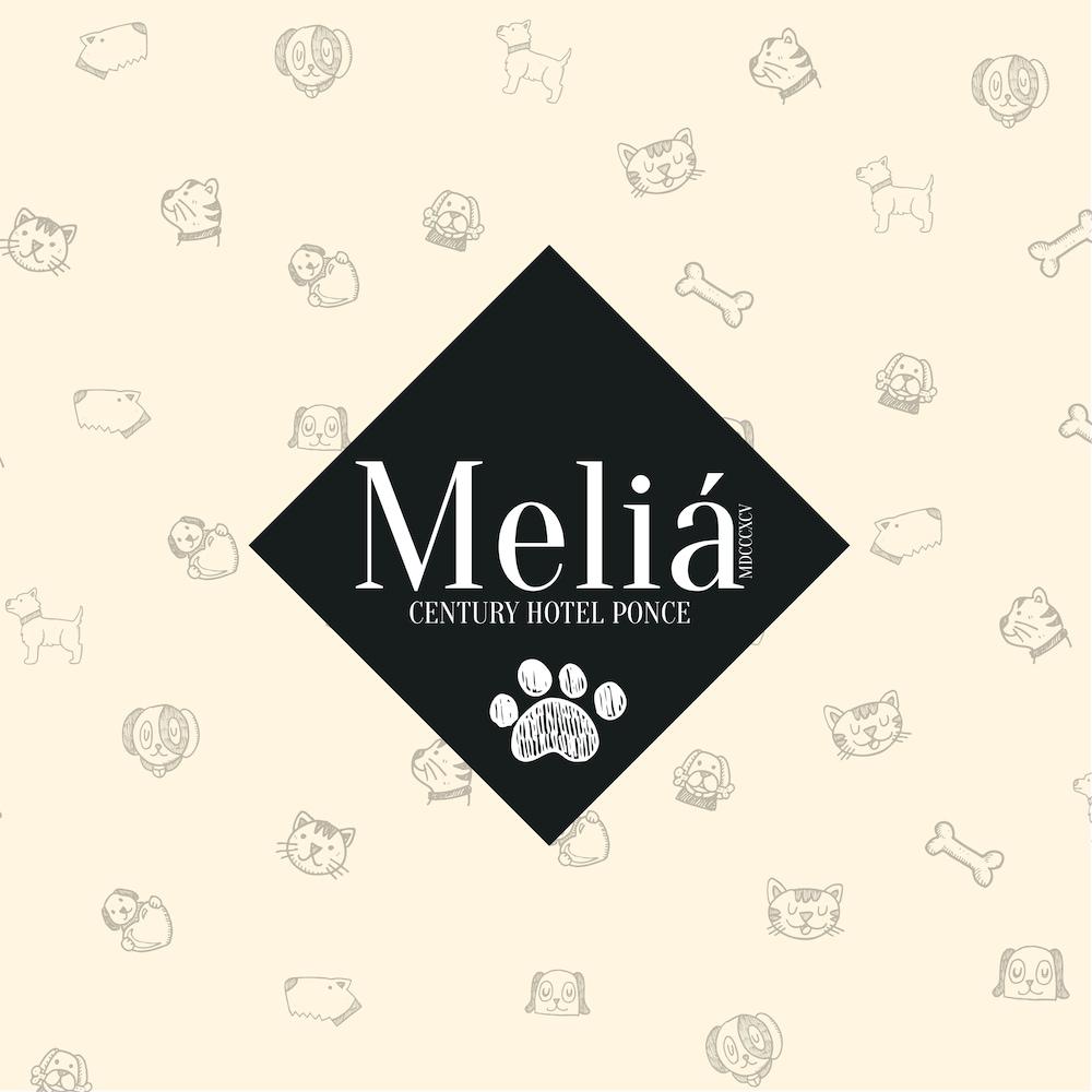 Hotel Melia Ponce Εξωτερικό φωτογραφία